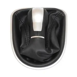 Doar azi NUCA SCHIMBATOR CU MANSON PENTRU SEAT LEON 2/ALTEA/TOLEDO3 6 TREPTE