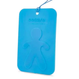 Nu rata Mr&Mrs Fragrance Cesare Scented Card New Car