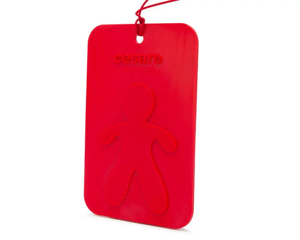 Plată securizată Mr&Mrs Fragrance Cesare Scented Card Peppermint