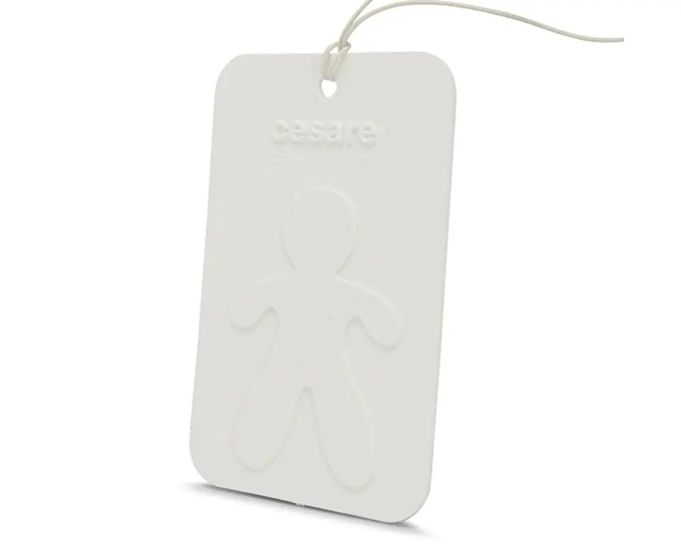 Bestseller Mr&Mrs Fragrance Cesare Scented Card Odour Neutralizer New Car